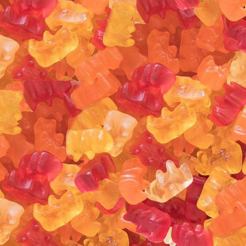 Gummy Bears - Fruity<br/>(Box of 12)